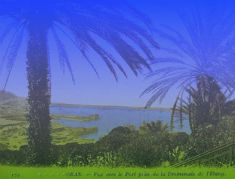 Promenade de l'etang.jpg